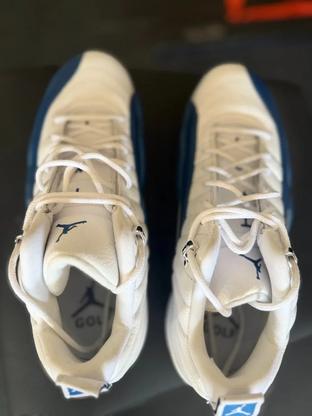 Nike Air Jordan 12 XII low golf shoes